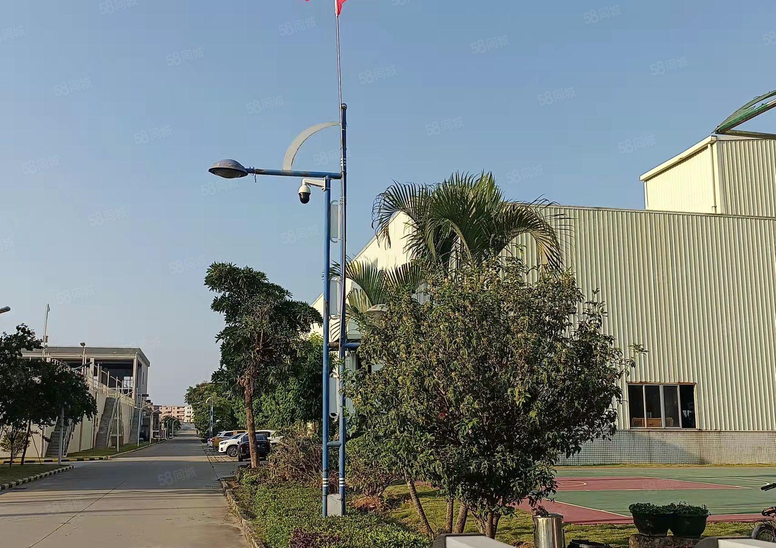 寮步凫山1700独院钢构原房东急租