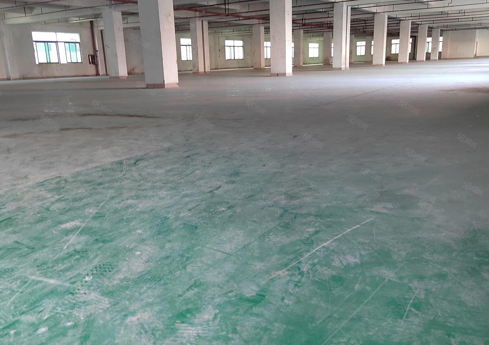 药勒带红本超大空地独门独院标准三层15300厂房低价大小分租