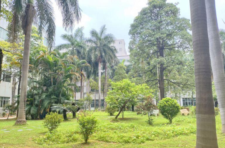 东莞松山湖原房东红本花园式独院厂房松山湖中心成熟工業园区。