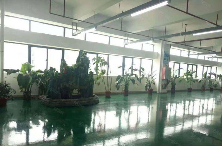 寮步 西溪 大型科技园20万平方,分租8元起，形寮象好空地大