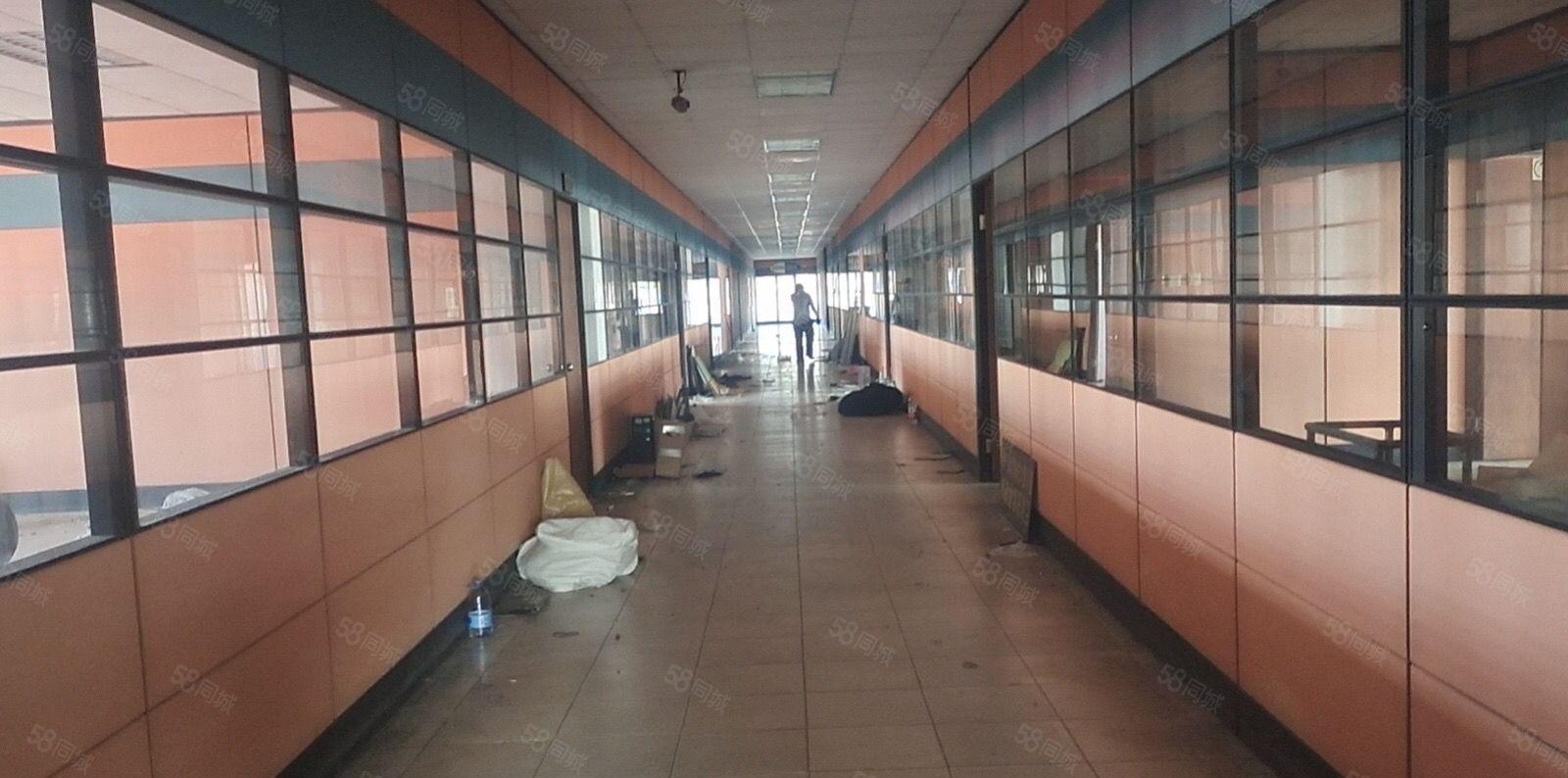 寮步凫山原房东厂房出租7800平方可分租！