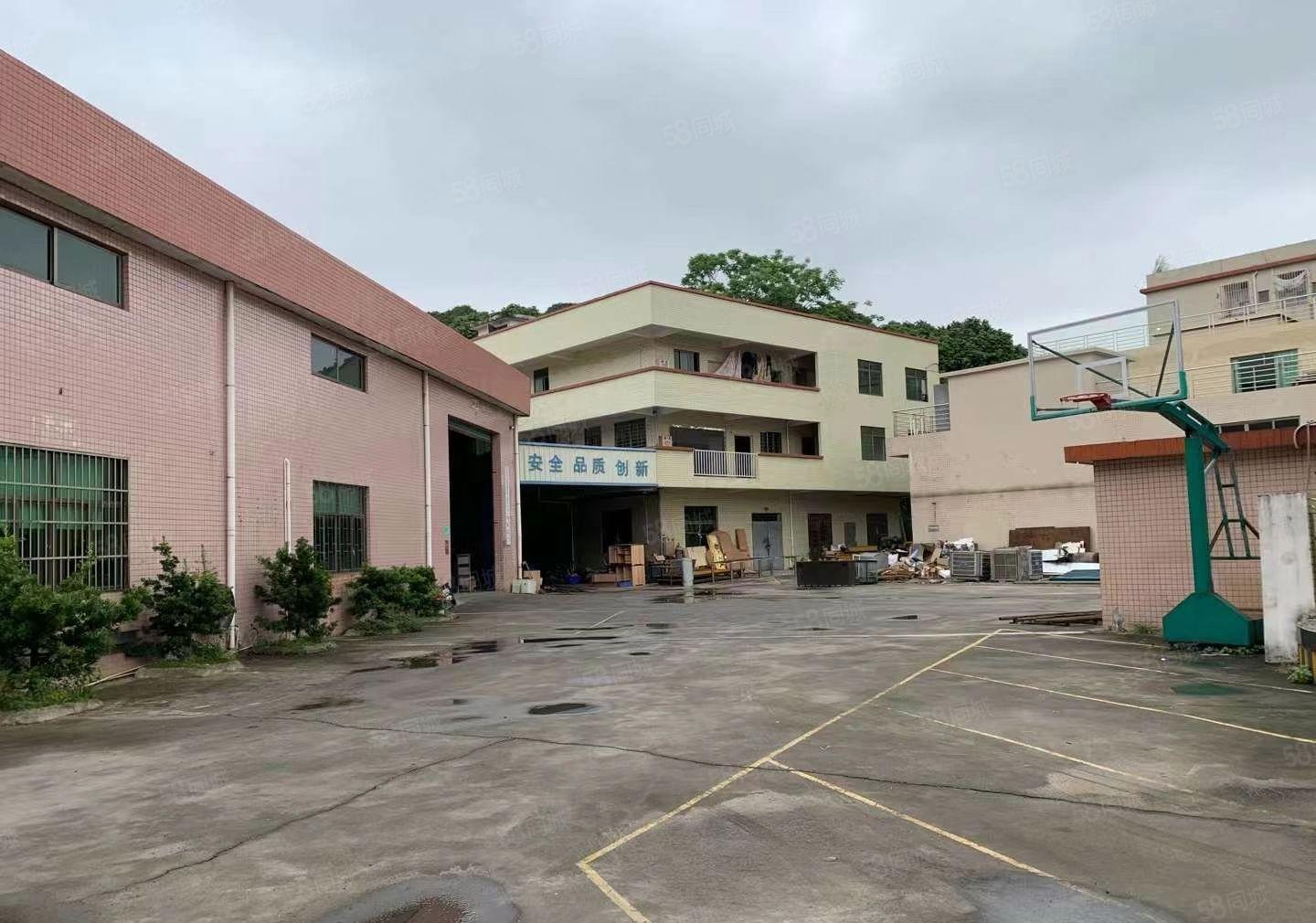 自营的干起！寮步1800平独院钢构厂房，原房东出租价格实惠