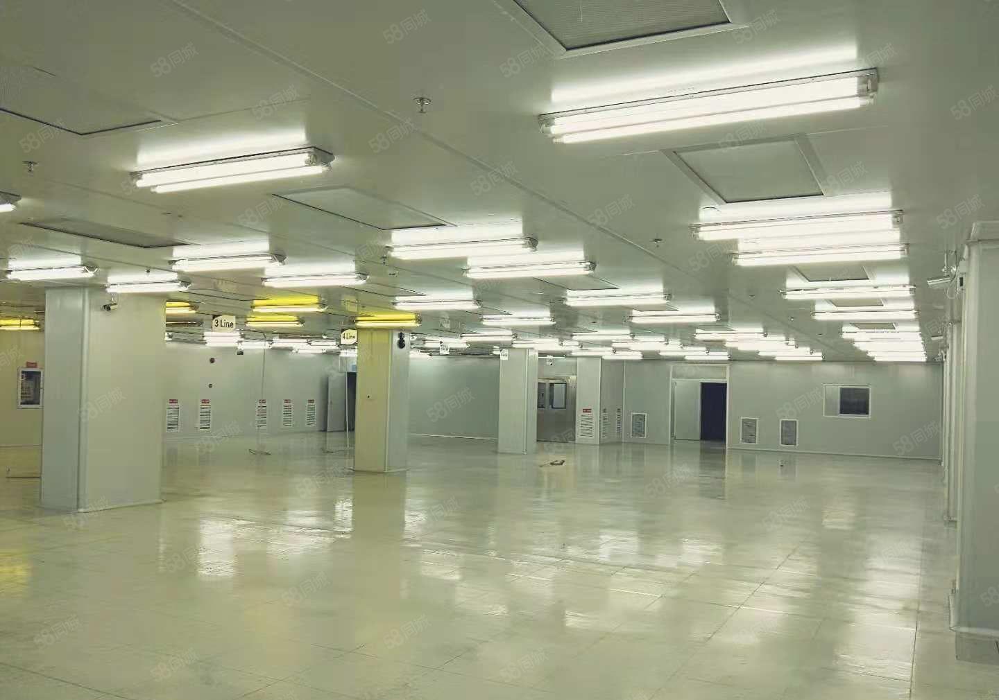 寮步 百业附近 高新科技园3万平方火爆招商,可分租!