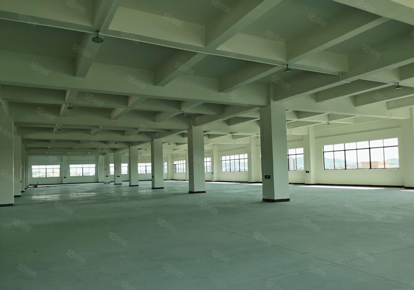 特价处理，超底价格，寮步镇分租4楼厂房出租