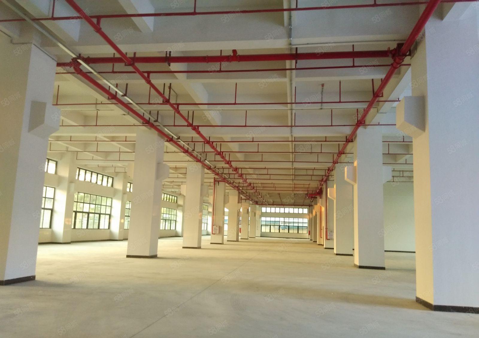 寮步镇靠近松山湖带牛腿厂房1楼3500平方厂房招租