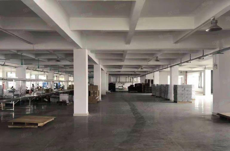 横坑 新出 独院厂房 6000方 花园式 空地大