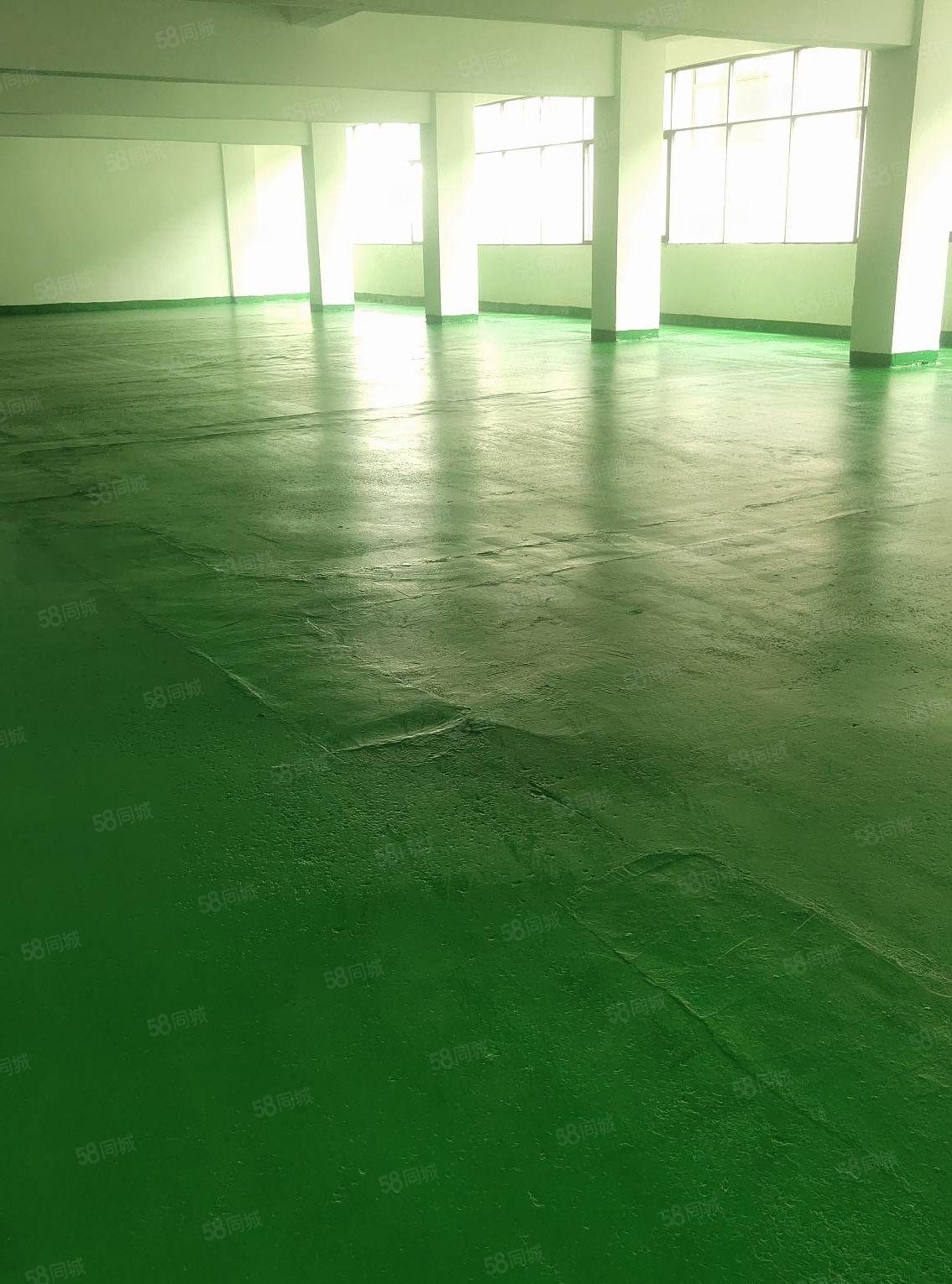 全新地坪漆15元全包！大小分租！