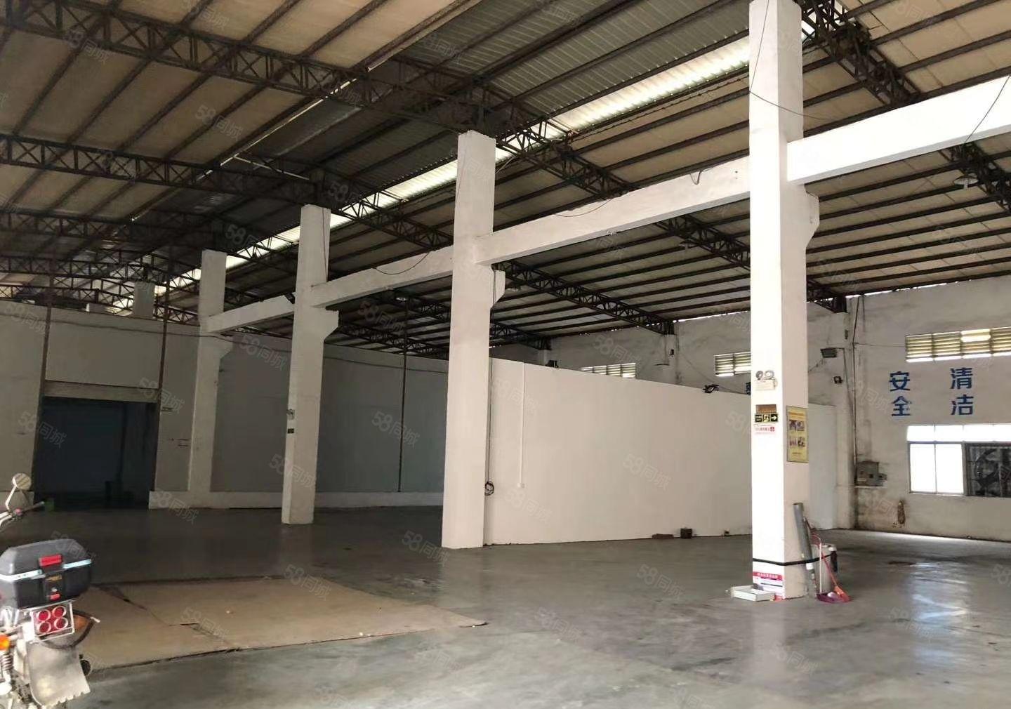 寮步本地原房东单一层砖墙到顶小独院2000平方，滴水8米招租