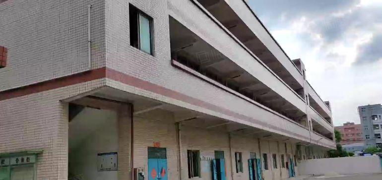 寮步原房东独门独院标准厂房4000平方带办公室装修低价出租