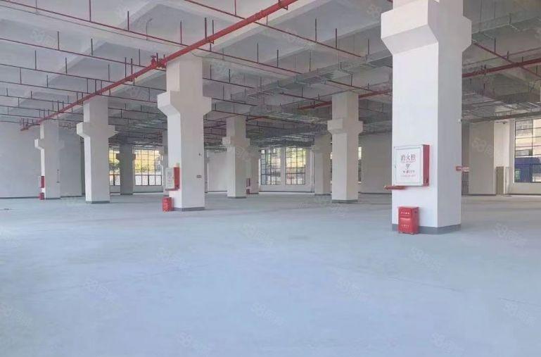 寮步华南工业区独院花园式厂房10000平方，形象好