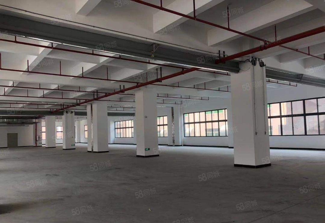 新盘！东莞寮步全新重工业厂房招租，利用率高，配套齐全