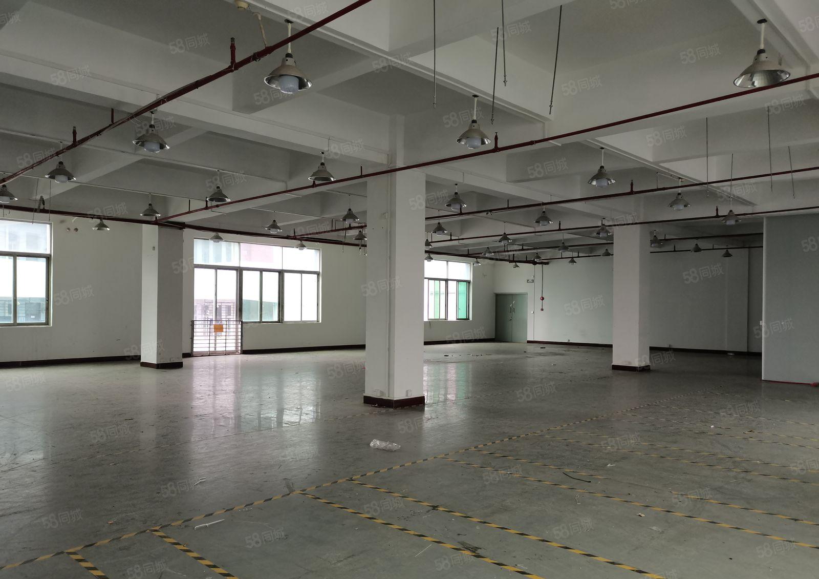 寮步凫山小加工厂分租500，800，1500平方