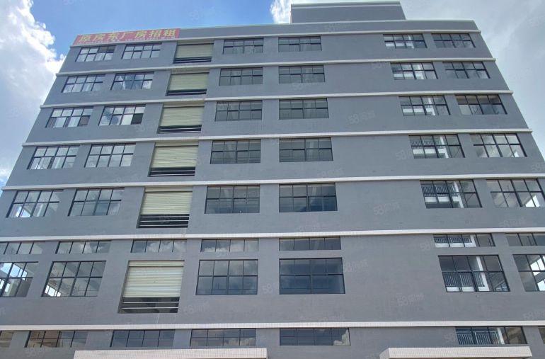 茶山寮步交界自建高标准全新厂房，8米高带牛角