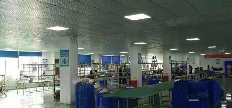 寮步岭厦即将空出二楼整层600寮步岭厦工平方，精装修，九成新