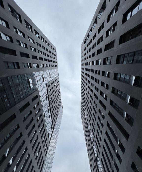 毗邻松山湖  连通珠三角环线东部快线 交通便捷园区配套齐全