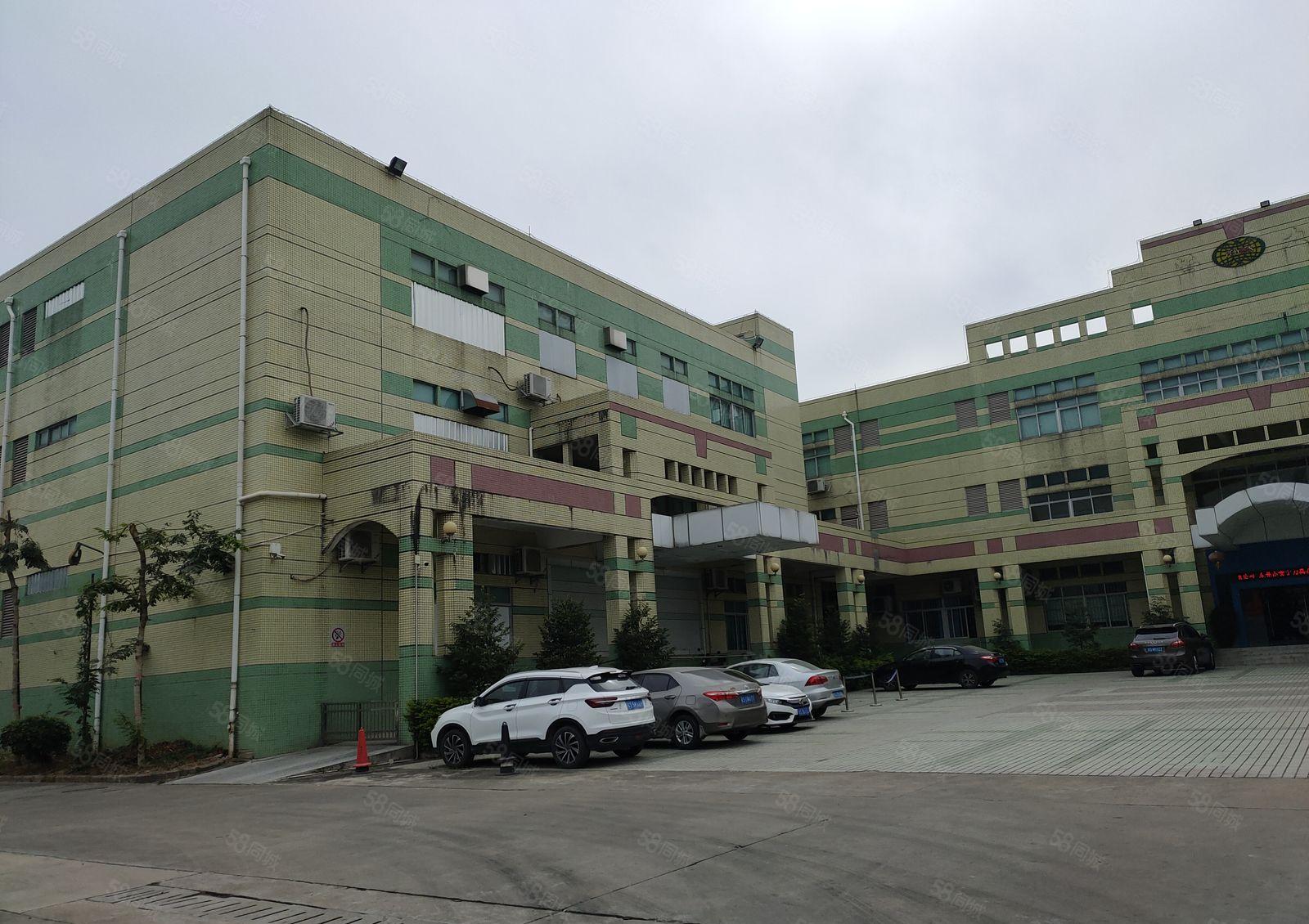 寮步 西溪 自用厂房出租 一楼1000平方,无公摊面积