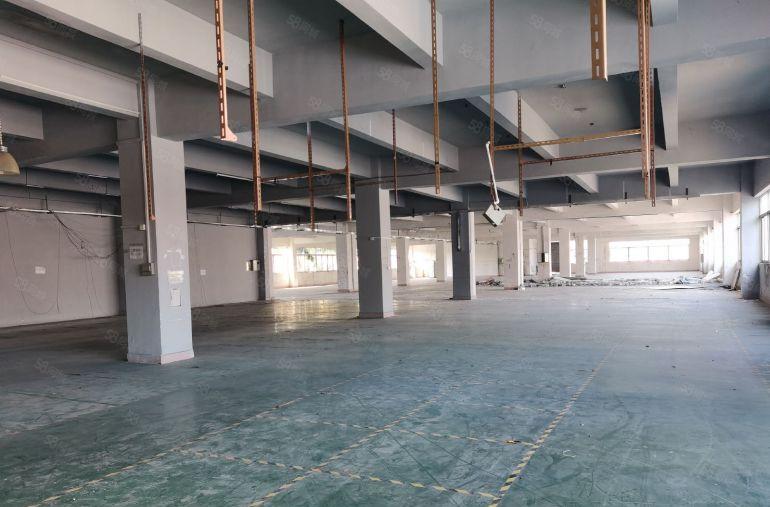 寮步原房东独院厂房出租5000平米形象好租金14元每平米