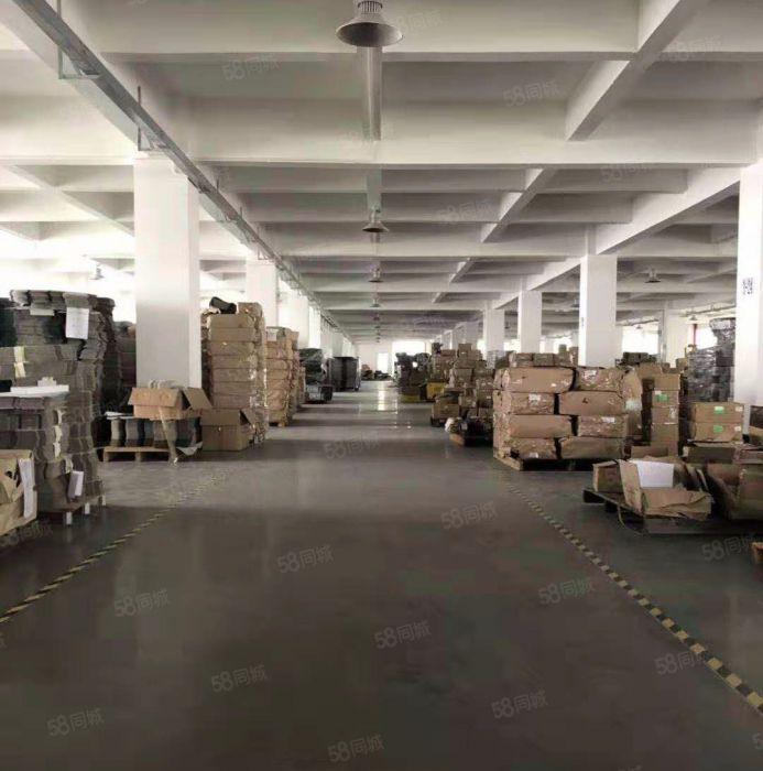 横坑 新出 独院厂房 6000方 花园式 空地大