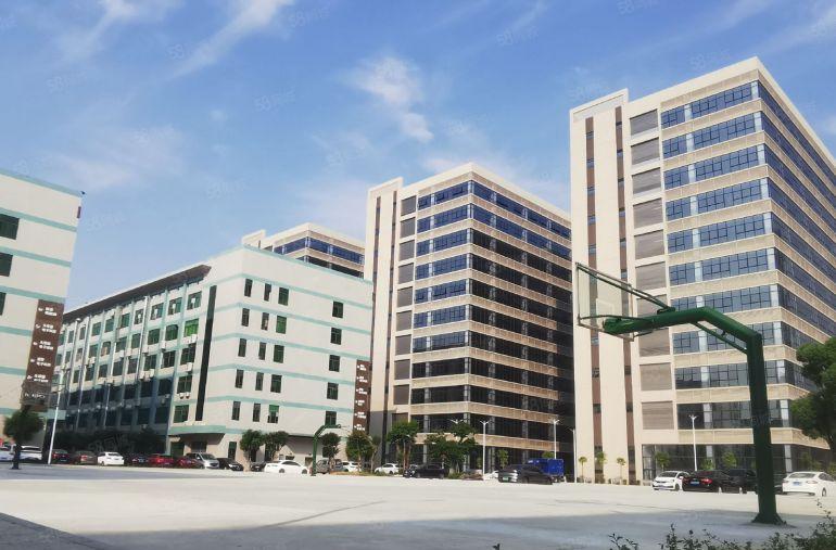 原房东全新高标厂房火爆招商，租金含税可申请政府补贴