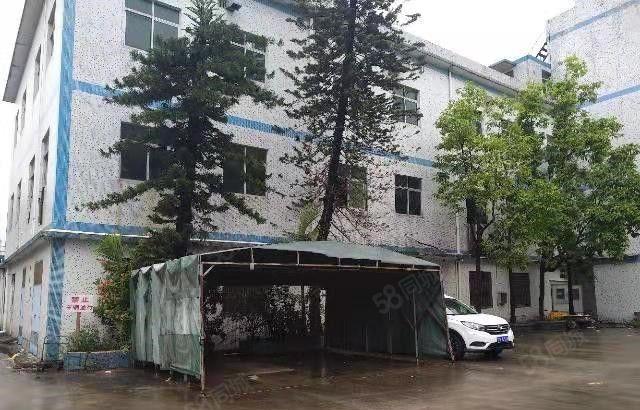 寮步石步独院厂房出租2000平方，原房东