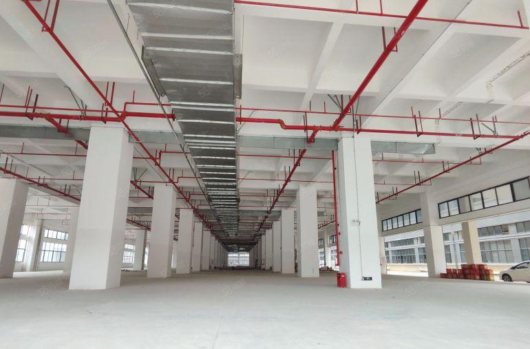 寮步原房东全新独门独院37000平方厂房出租主干道边上形象好