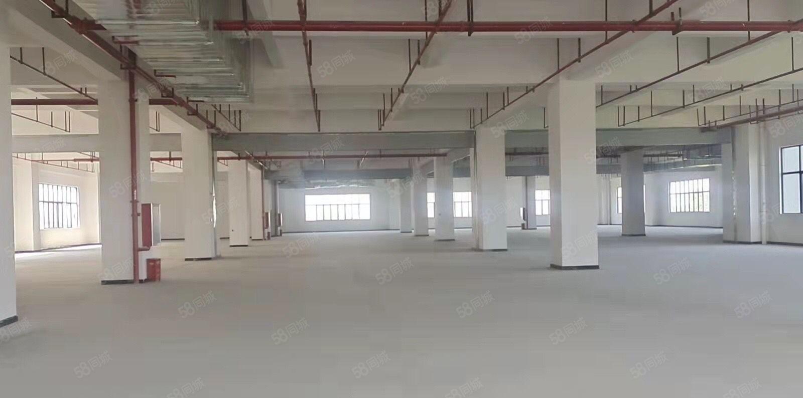 寮步竹园高新科技园，分租整层 形象好！