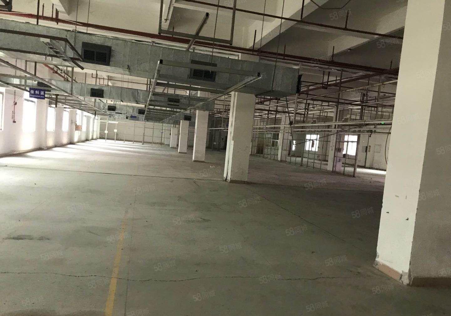 横坑新出形超靓独院标准27500平花园式工厂出租