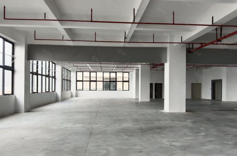 原房东红本直租，高速出口，主干道旁，空地超大