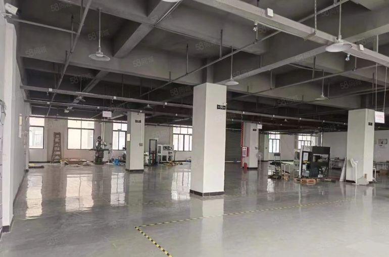 寮步华南工业区独院花园式厂房10000平方，形象好