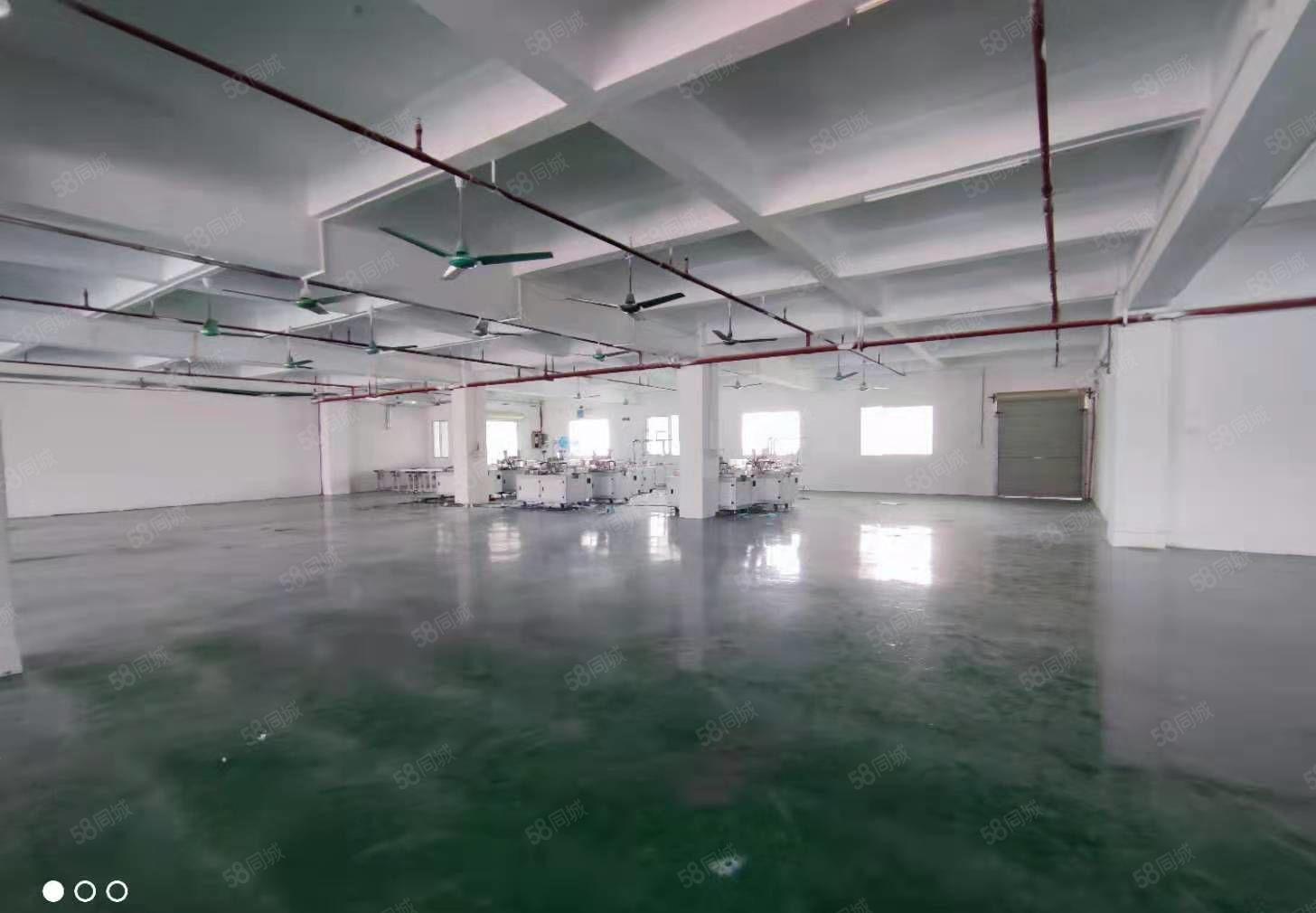 寮步镇原房东红本厂房共4栋实际面积500平方起租，