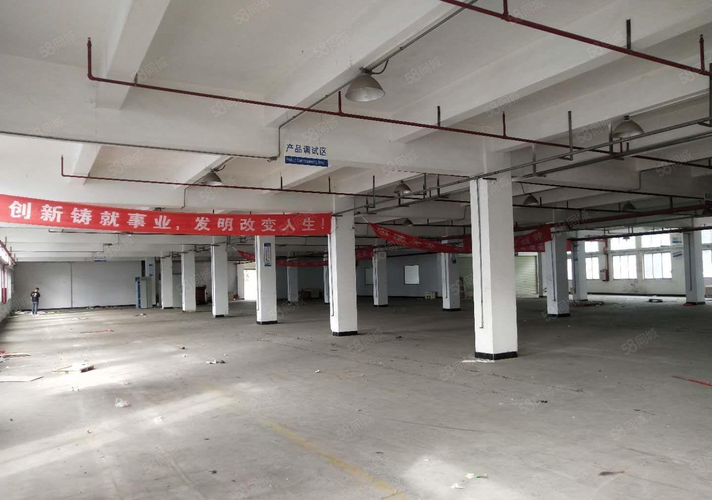 寮步上屯高新科技园新出一楼800平形象好空地大可办环评！