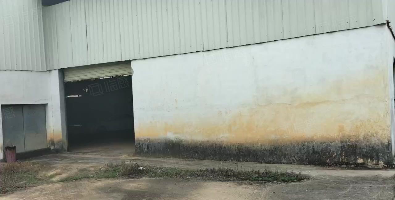 东莞寮步独院厂房出租，超大免费空地，使用率高