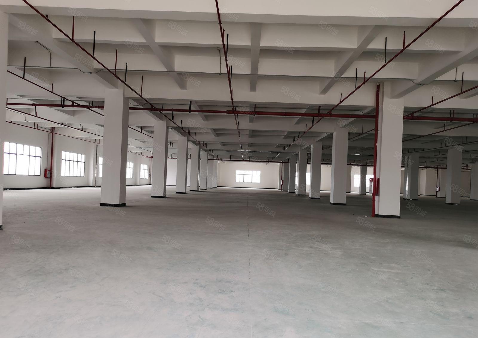 寮步镇靠近松山湖原房东9.5万红本独门独院厂房招租