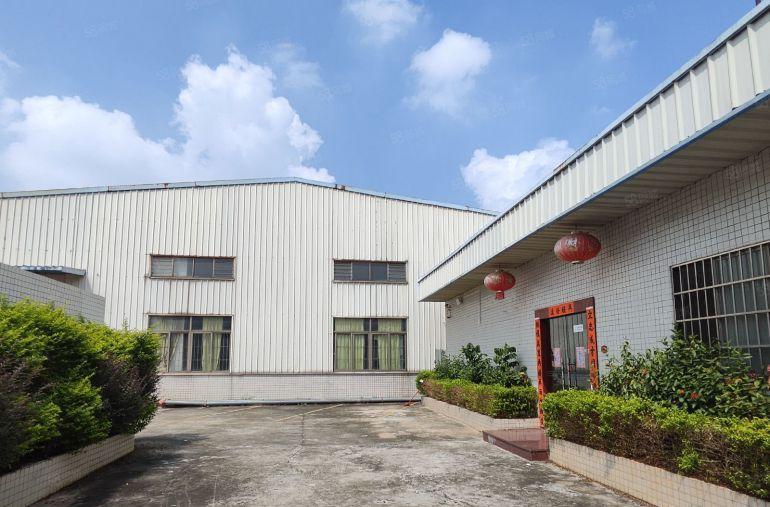 寮步石步原房东单一层独院1550平方厂房出租高7.5米带装修