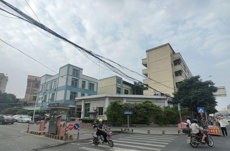 寮步原房东层高六米现成装修形象好交通便利独门独院厂房