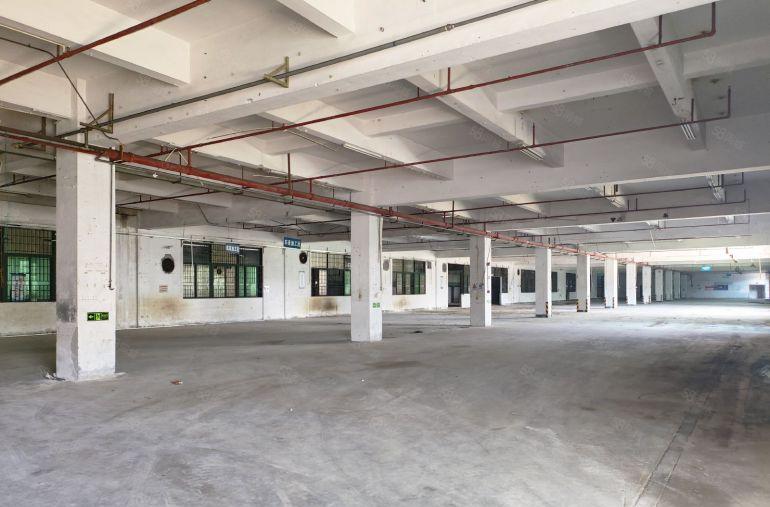 寮步向西新出分租厂房，园区空地大交通方便价格便宜低价租