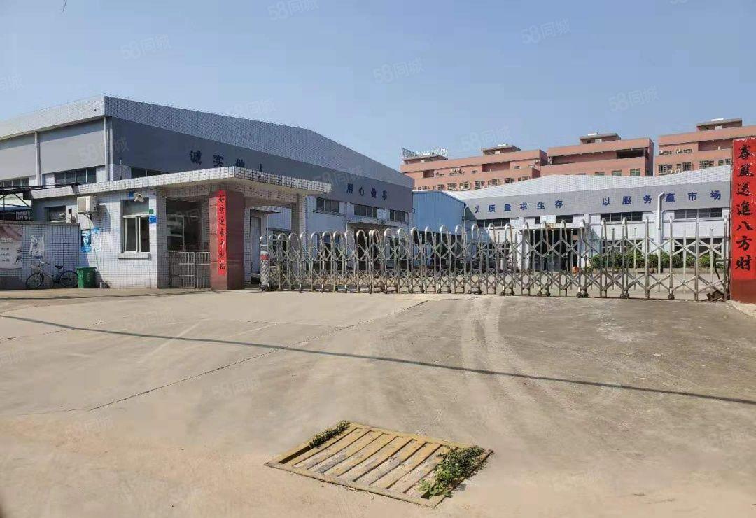 寮步镇新出独院厂房单一层12000平方独院大小可分