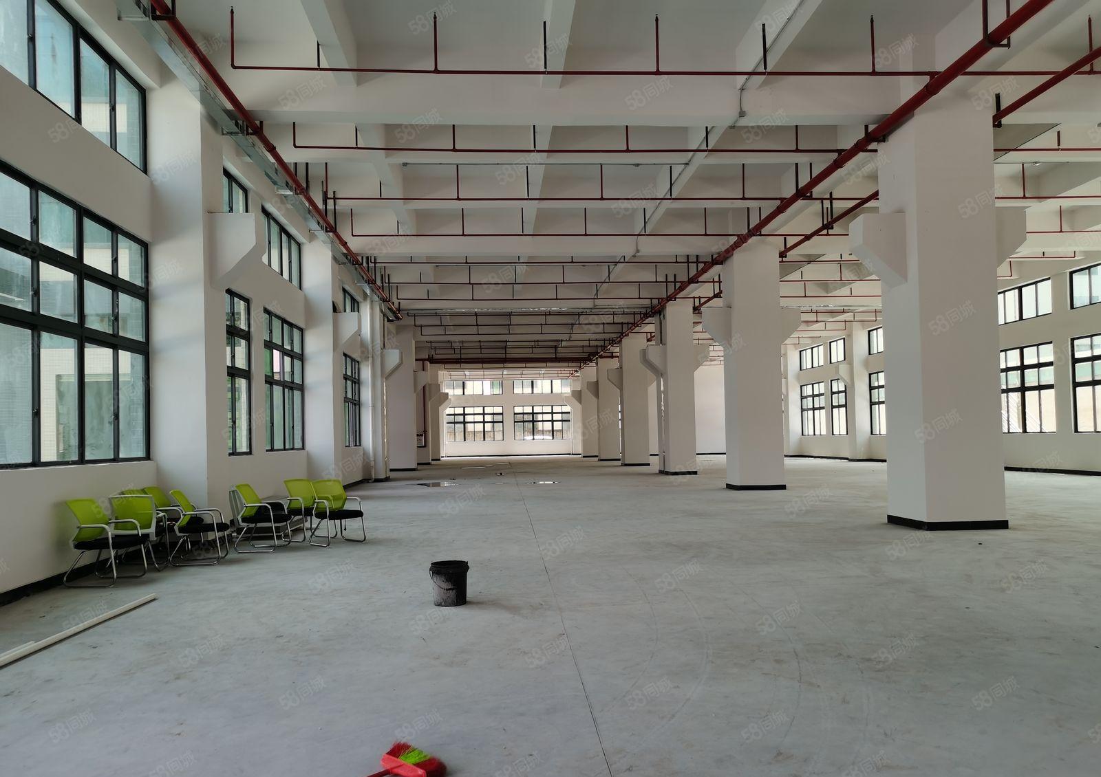 寮步镇靠近松山湖带牛腿厂房1楼3500平方厂房招租