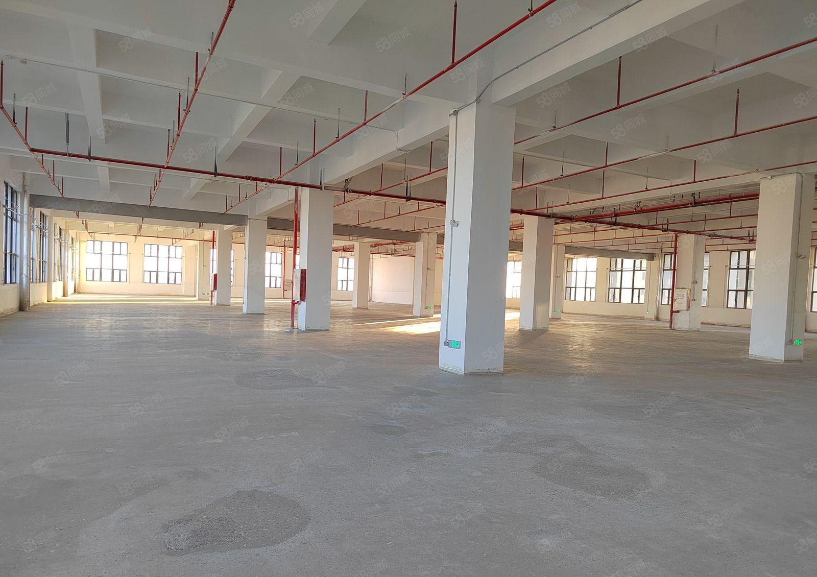 寮步全新重工业厂房1到8层 每层2600平方 1000方起租