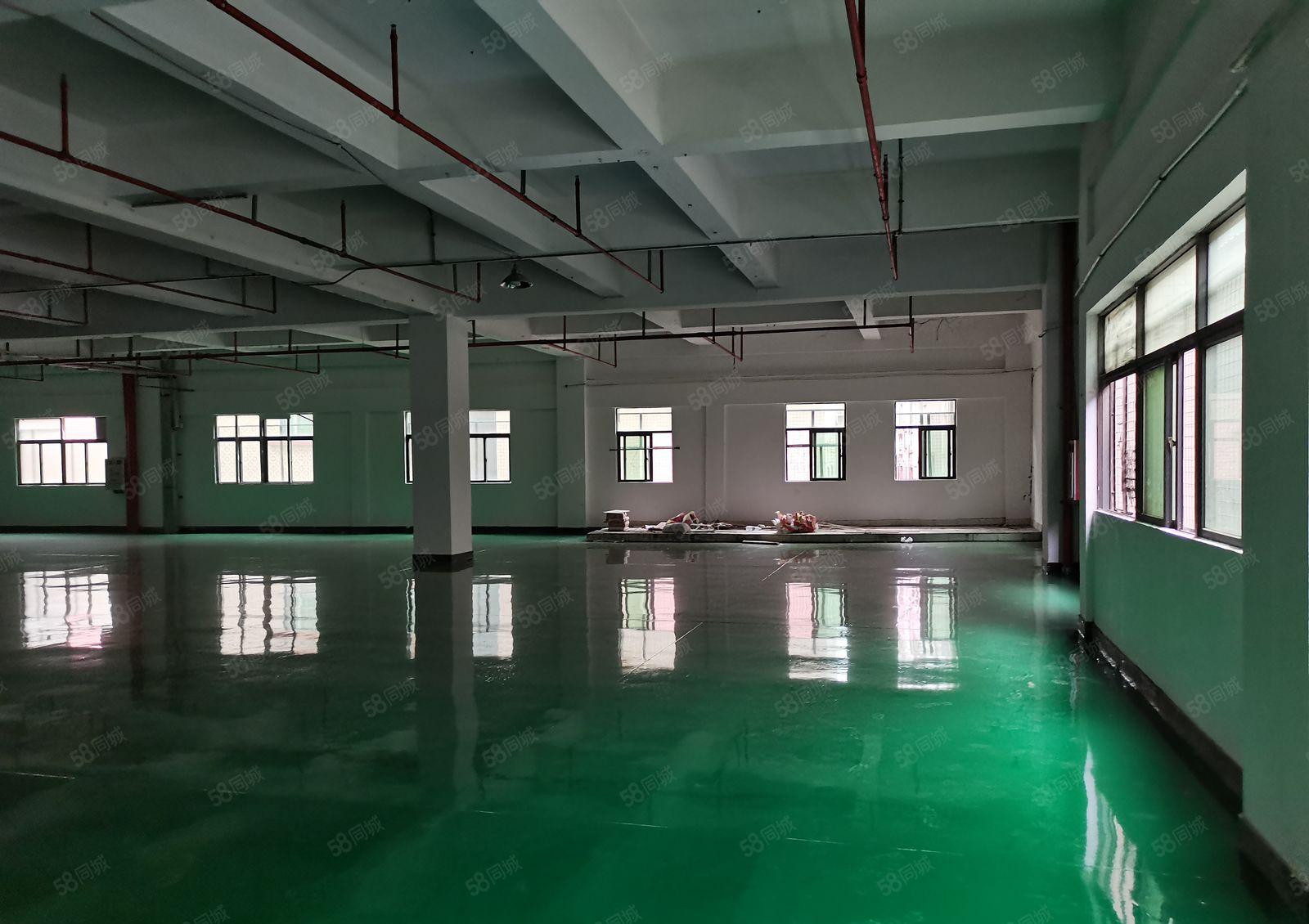 寮步石龙坑靠松山湖一楼900平方出租带办公室