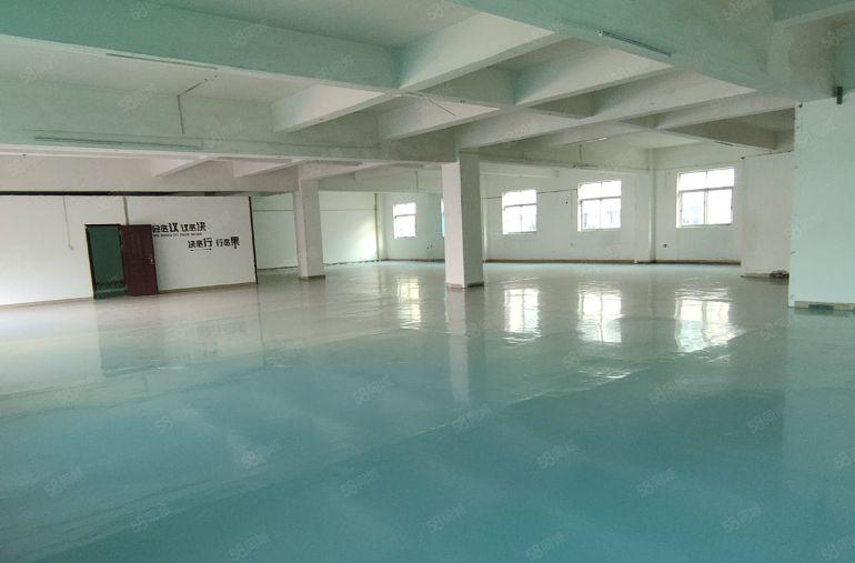 寮步上屯整层精装修850平，价格超优惠