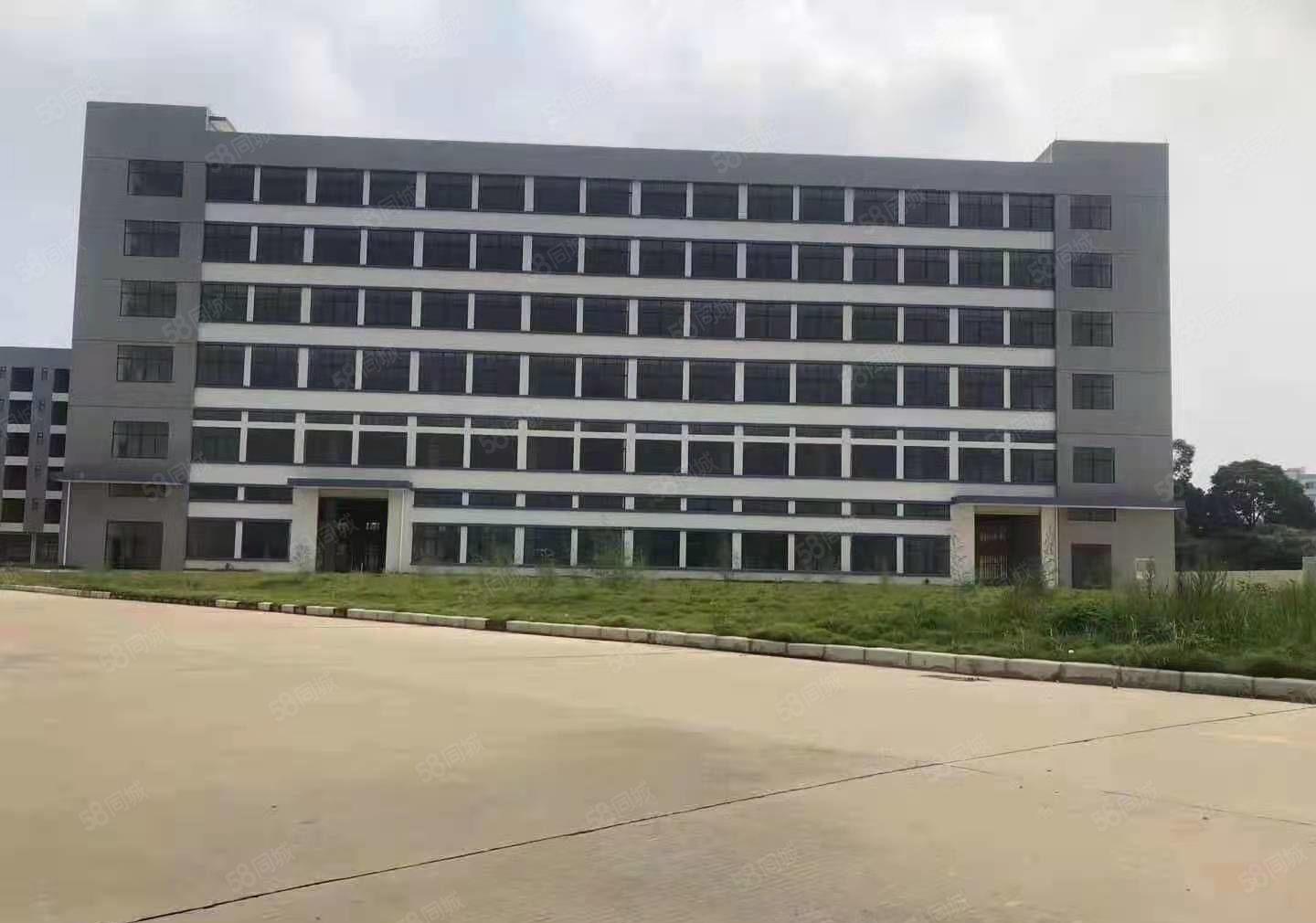 寮镇步原东房国有证双独门院独厂房9万平方招租可分成两套独院