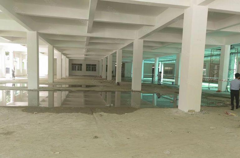 寮步镇岭厦村岭厦二巷37号