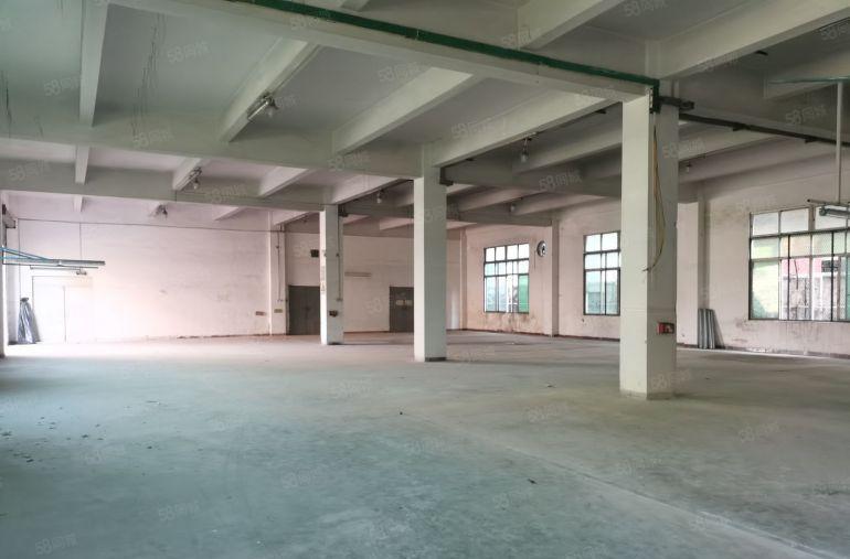 寮步独院厂房出租一楼1000平方米起租带办公室精装修原房东