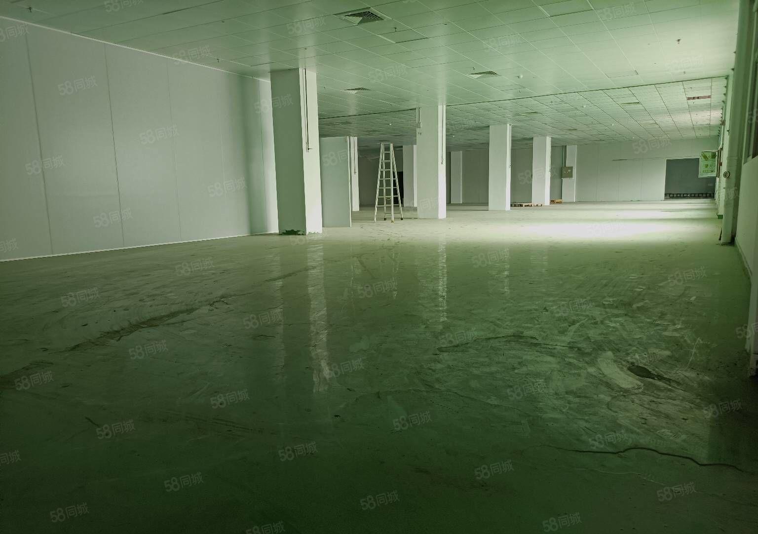 寮步汽车东站附近搬空标准一楼950平方，现成装修，急租