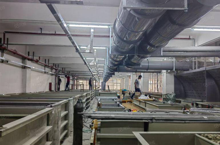 东莞各镇新环保正规排照电镀厂房出租，大小分租证件齐全！