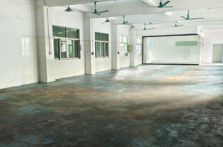 寮步凫山一楼500平方 现成水电办公室