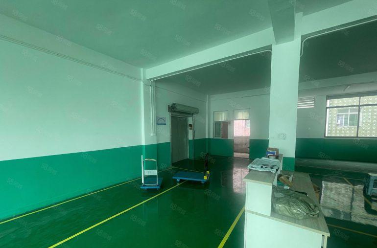 寮步新出楼上800  全新地坪漆 带装修办公室