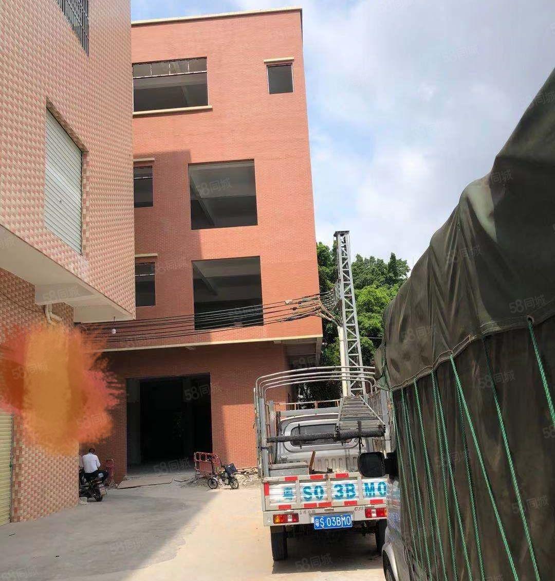 岭厦村岭厦二巷37号全新标准一楼高5米整层