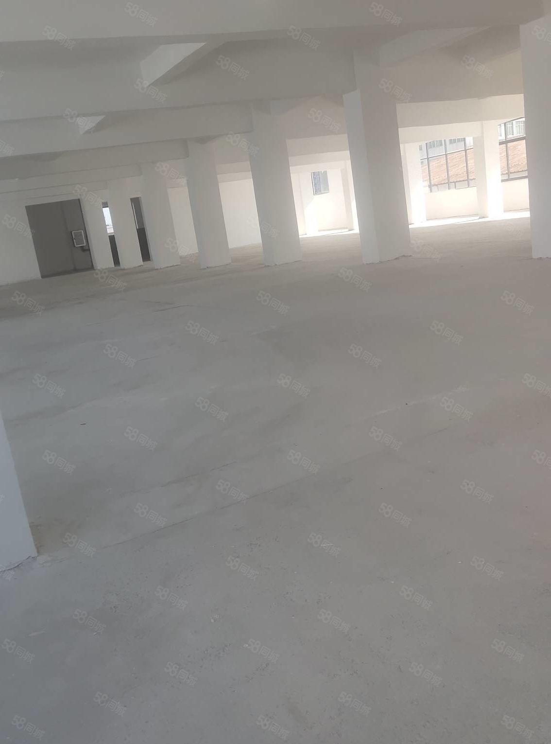 1000元全包全包！扲包就可办公，无杂费！！！